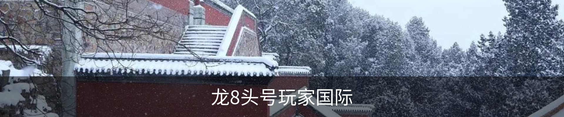 龙8头号玩家国际